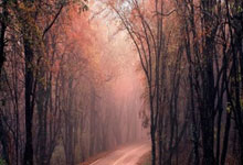 亚特兰大狂胜！王者归来，主场燃爆，声势汹汹