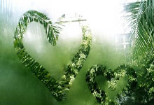 亚特兰大狂胜！王者归来，主场燃爆，声势汹汹