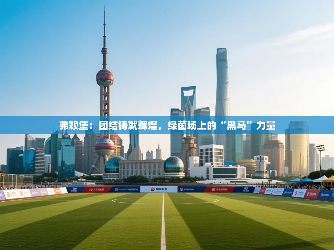 弗赖堡:团结铸就辉煌,绿茵场上的“黑马”力量 第2张