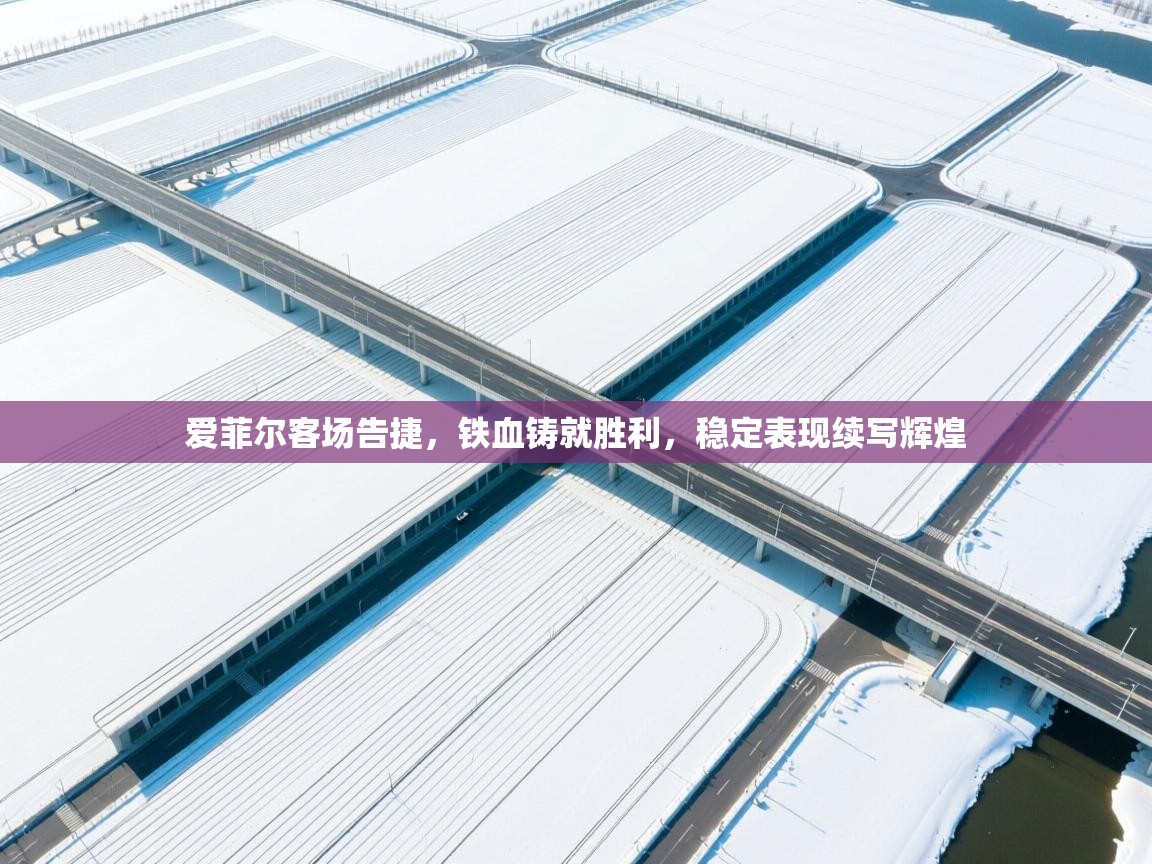 爱菲尔客场告捷,铁血铸就胜利,稳定表现续写辉煌 第1张