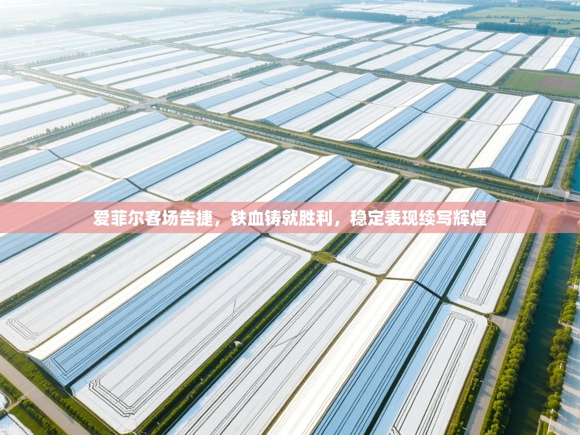 爱菲尔客场告捷,铁血铸就胜利,稳定表现续写辉煌 第2张