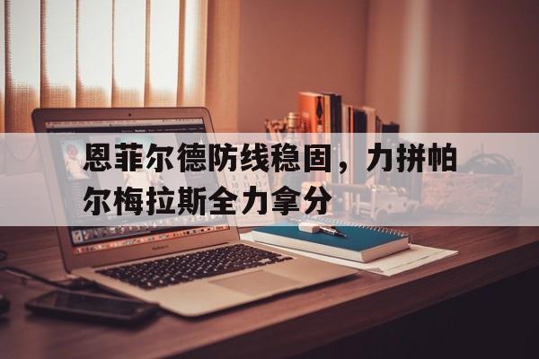 开云体育app-恩菲尔德防线稳固，力拼帕尔梅拉斯全力拿分(m1917恩菲尔德是老李么)