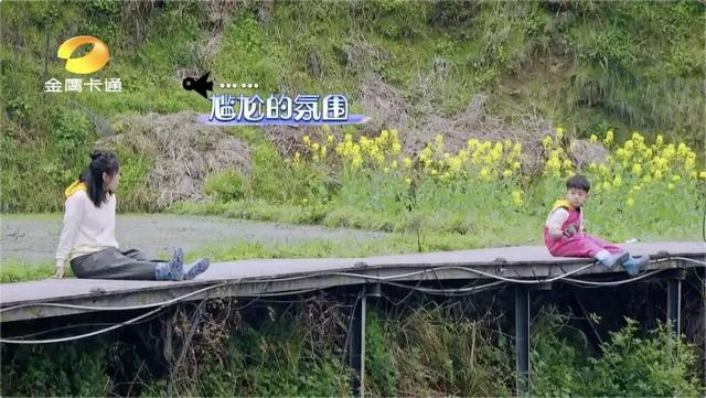 开云体育app-包含关键比赛中，金鹰特攻从落后到翻盘，选手当场怒吼的词条